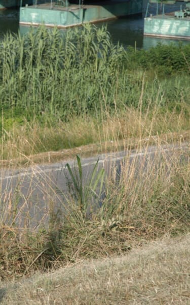 Landscape - Terre di Grassaga