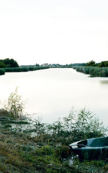 Landscape - Terre di Grassaga