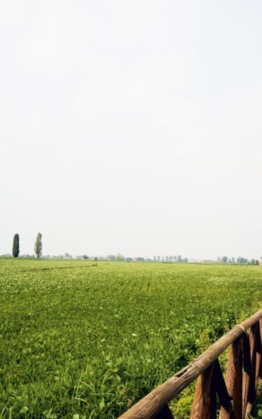 Landscape - Terre di Grassaga