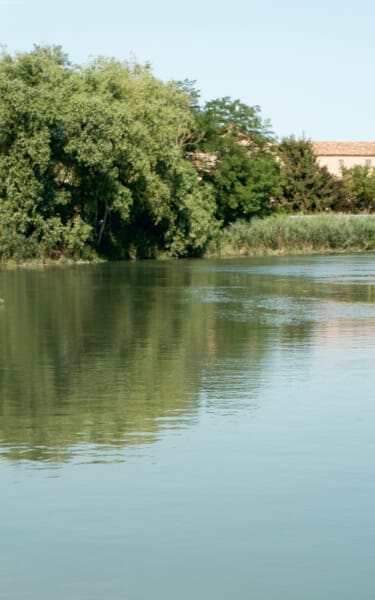 Landscape - Terre di Grassaga