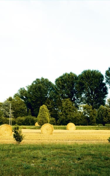 Landscape - Terre di Grassaga